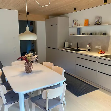 Apartamento Alpenapart Montafon - Alti Saga Tschagguns