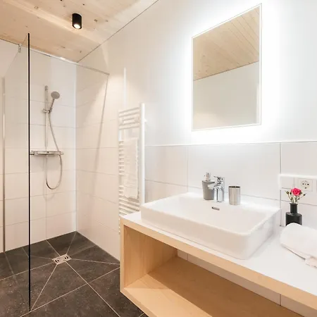 Alpenapart Montafon - Alti Saga Apartment